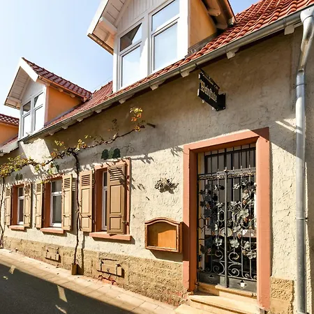 Ferienloft 'weinstube Fridrich' Apartment Bad Dürkheim